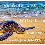 wild life side bet